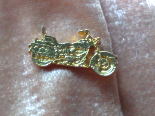 Motorcycle pin