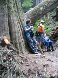 Holly leans against a giant tree while Kevin confers with Joe in the Grove of the Patriarchs in Mt. Ranier National Park. Photo by Mary Giovanini