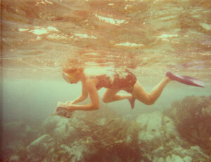 woman swimming, hanging below the water with a snorkel for air, reading a book with plastic pages that identify the fish around her.